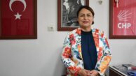 CHP Adana Milletvekili Dr. Müzeyyen Şevkin’den yerel seçimlere 9 ay kala 19 yeni il çıkışına eleştiri geldi