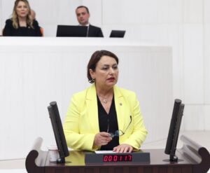 “Çiftçi buğdayda hüsran yaşadı, sıra ayçiçeği üreticisine gelecek”