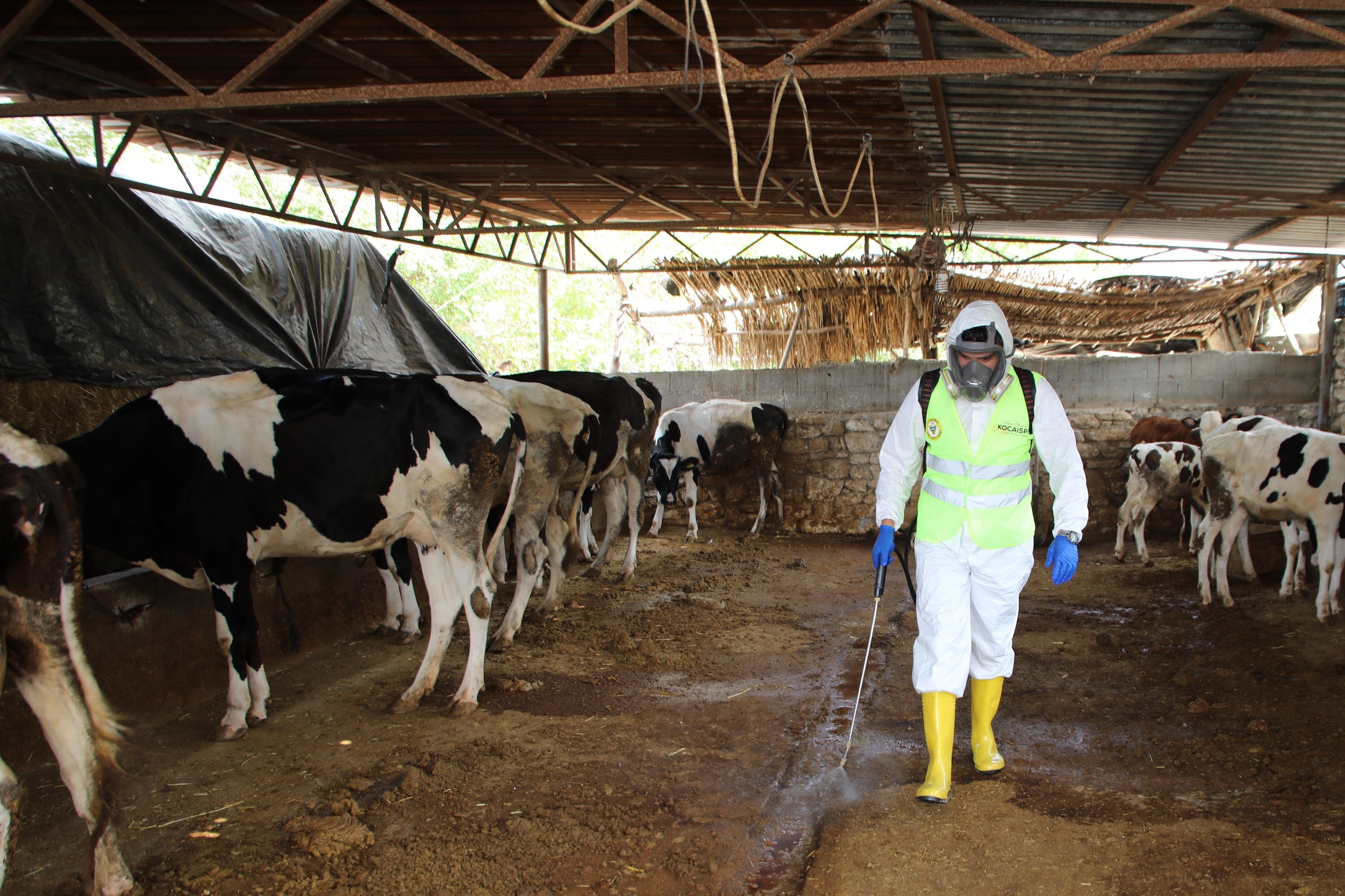 YÜREĞİR’DE VEKTÖRLE SIKI MÜCADELE