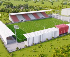 Adana 1954 FK,     Muharrem Gülergin Stadı’nın lig oynanacak kriterlere gelmesini istiyorlar.