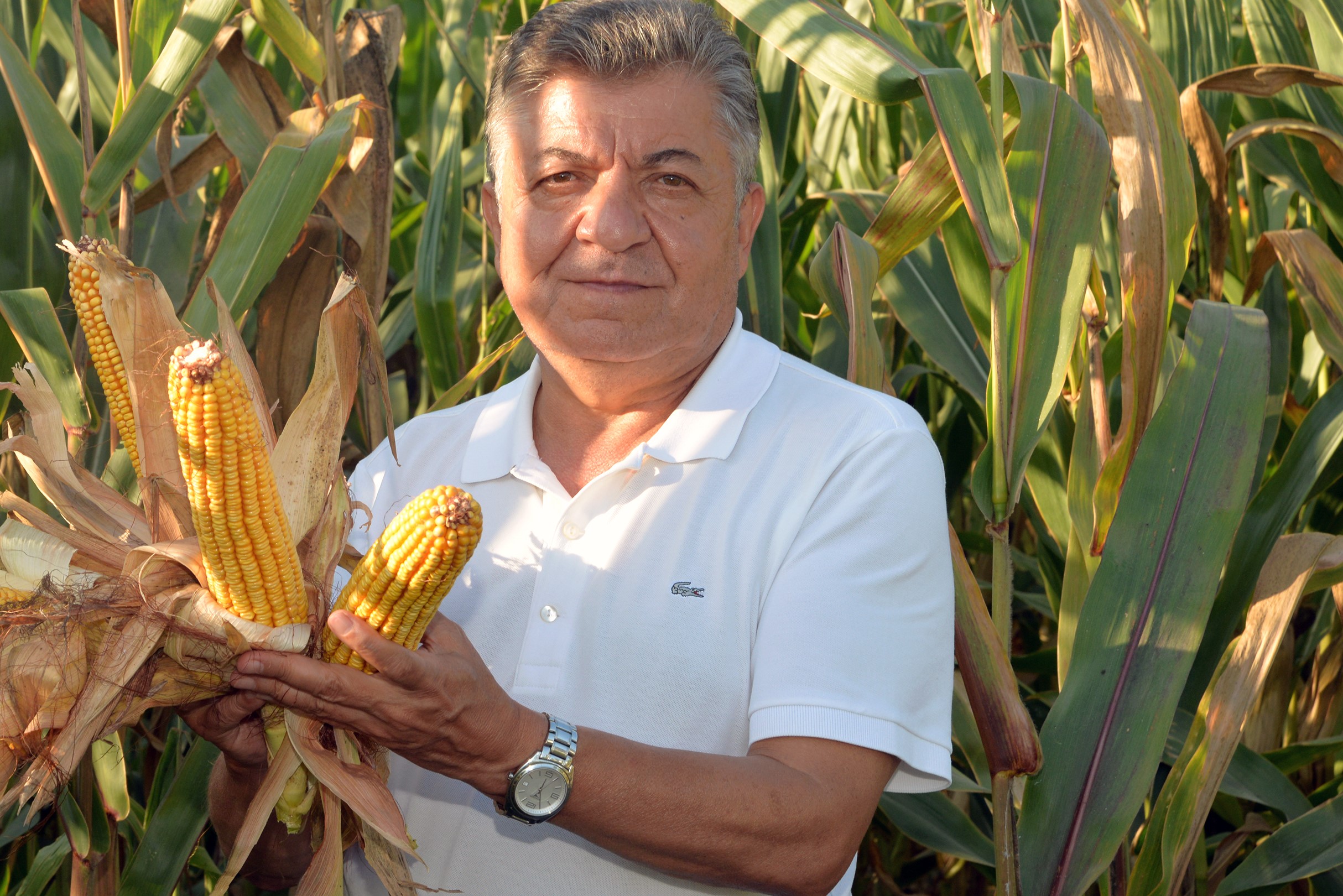 KORKUT: MISIR FİYATI EN AZ 9,4 TL/KG OLMALI