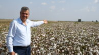 Ayhan Barut, Çukobirlik tarafından maliyetin altında açıklanan pamuk fiyatlarına tepki gösterip, kararın revize edilmesini istedi