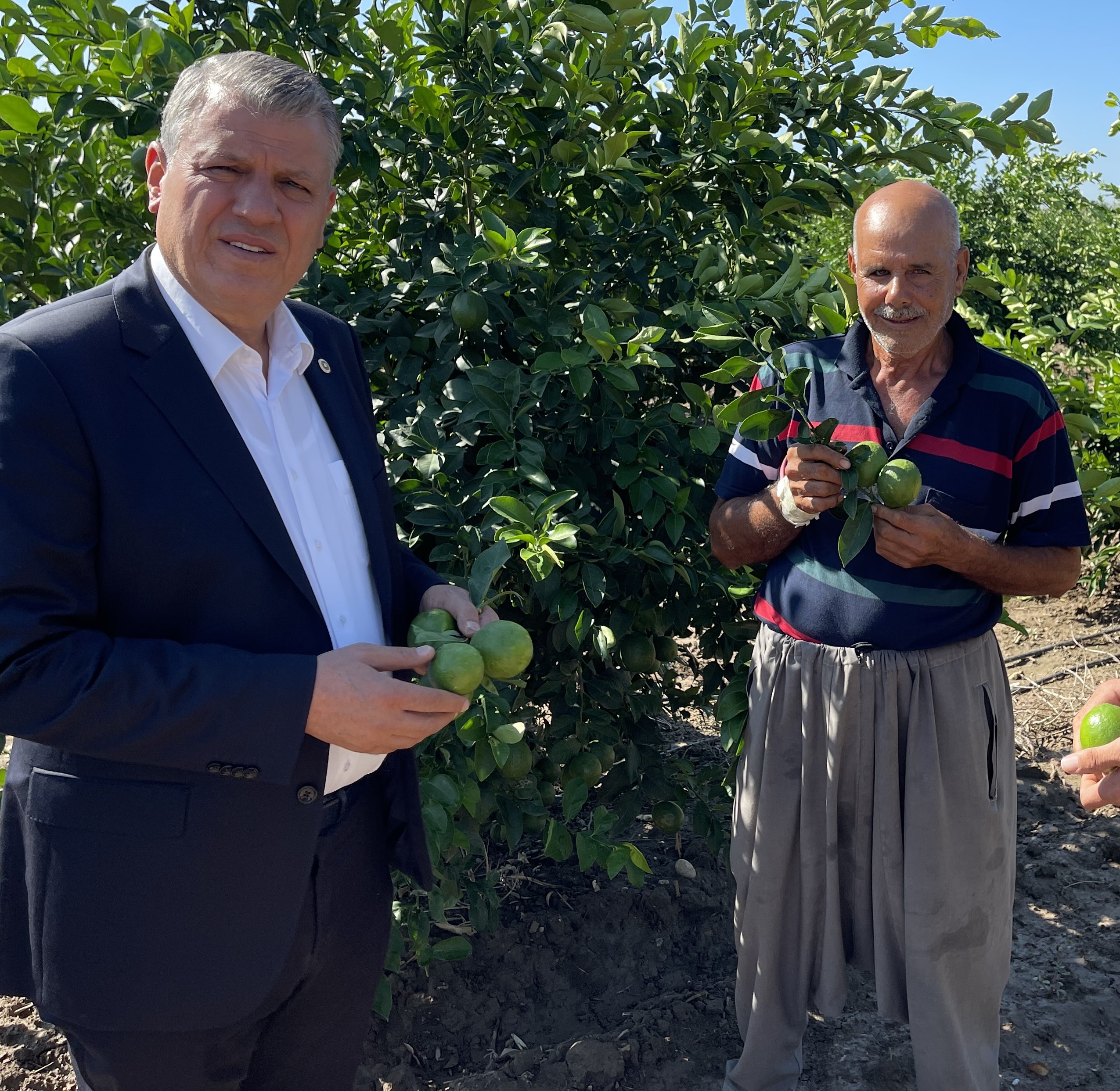 “Limon dalında 2 lira, markette 20 lira”