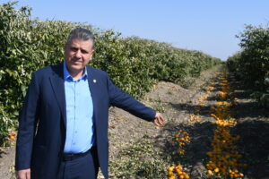 “Narenciye üretimi bitebilir”