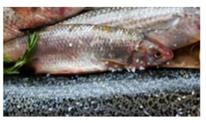 BALIK TÜKETMENİN FAYDALARI