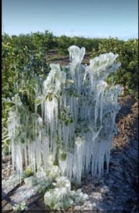 TARIM BAKANLIĞI ve BÖLGEDEKİ ZİRAAT ODALARI ORTAK HAREKET ETMELİ