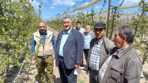Üreticinin çığlığı: “Bu yıl ürün yok”