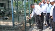Güngör Geçer, Hayvan Barınağı’nda incelemelerde bulundu