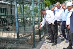Güngör Geçer, Hayvan Barınağı’nda incelemelerde bulundu