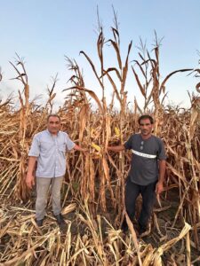 TARSİM SİGORTALARI İLE ÇİFTÇİNİN YILDIZI BARIŞMIYOR