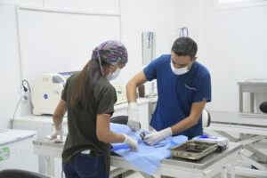 Seyhan Belediyesi’nden Sokak Hayvanları İçin Kısırlaştırma Seferberliği: Hedef Yıl Sonuna Kadar 4 Bin Can