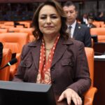 CHP’li Dr. Şevkin’den silahsızlanma çağrısı!