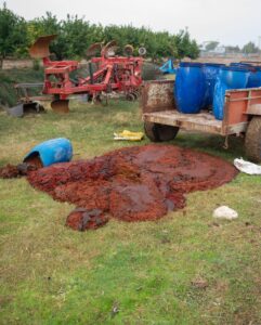 Seyhan’da Uygunsuz Üretime Geçit Yok