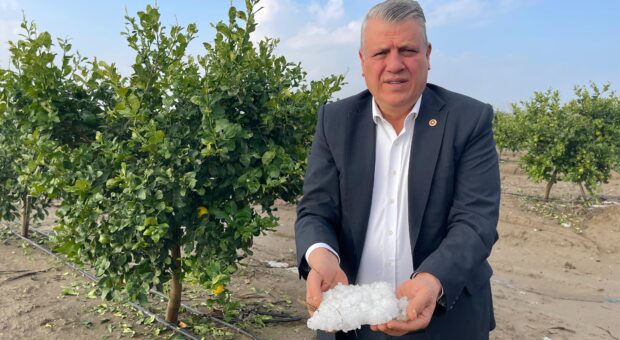 Adanalı üreticileri dolu vurdu