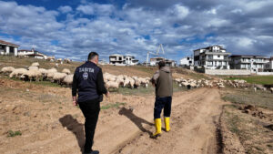 SARIÇAM’DA KENT ESTETİĞİNİ BOZAN HAYVANCILIK YAPILARI TAŞINIYOR