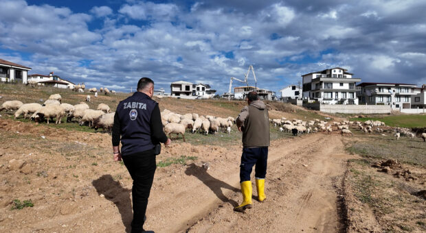 SARIÇAM’DA KENT ESTETİĞİNİ BOZAN HAYVANCILIK YAPILARI TAŞINIYOR