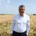Ayhan Barut’tan buğdayda alım fiyatı çağrısı