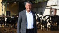 CHP’li Ayhan Barut’tan süt fiyatı tepkisi