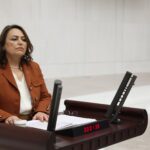 CHP’li Dr. Şevkin’den İçişleri Bakanına Zeydan Karalar tepkisi