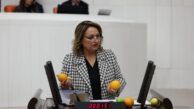 CHP’li Dr. Müzeyyen Şevkin, portakal, limon ve mandalinaları meclis kürsüsüne boşalttı