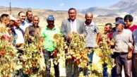 Gürer: “Tarımda eski hamam eski tas”