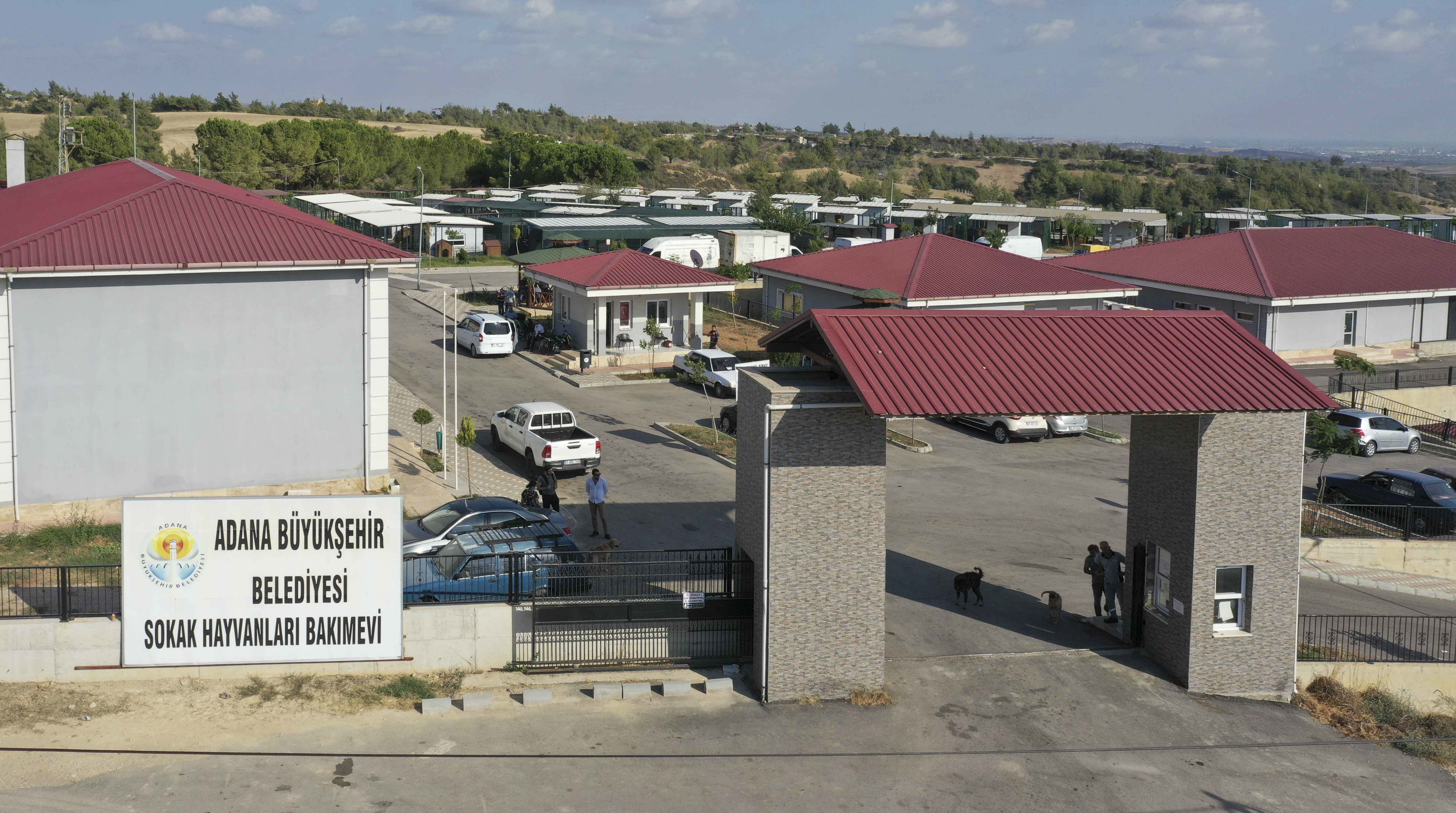 Büyükşehir, sokak canlılarıyla ilgili hizmeti ve desteği artırarak sürdürüyor…