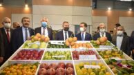 ﻿Başkan Zeydan Karalar, “İhracat kanallarımız çoğaldığında tarım sektörünün sorunları azalacak.