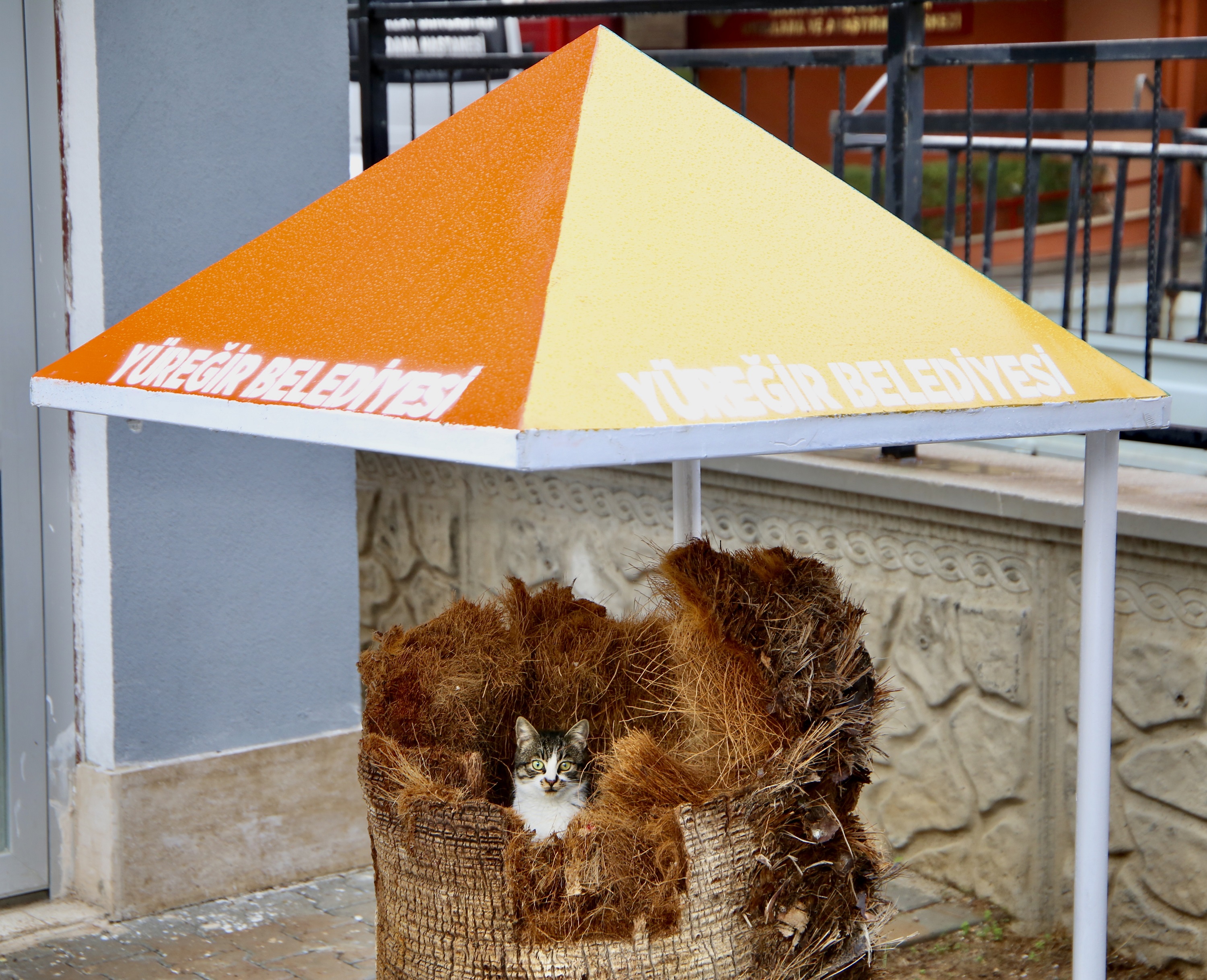 HAMİLE KEDİYE BELEDİYE İŞÇİLERİ SAHİP ÇIKTI