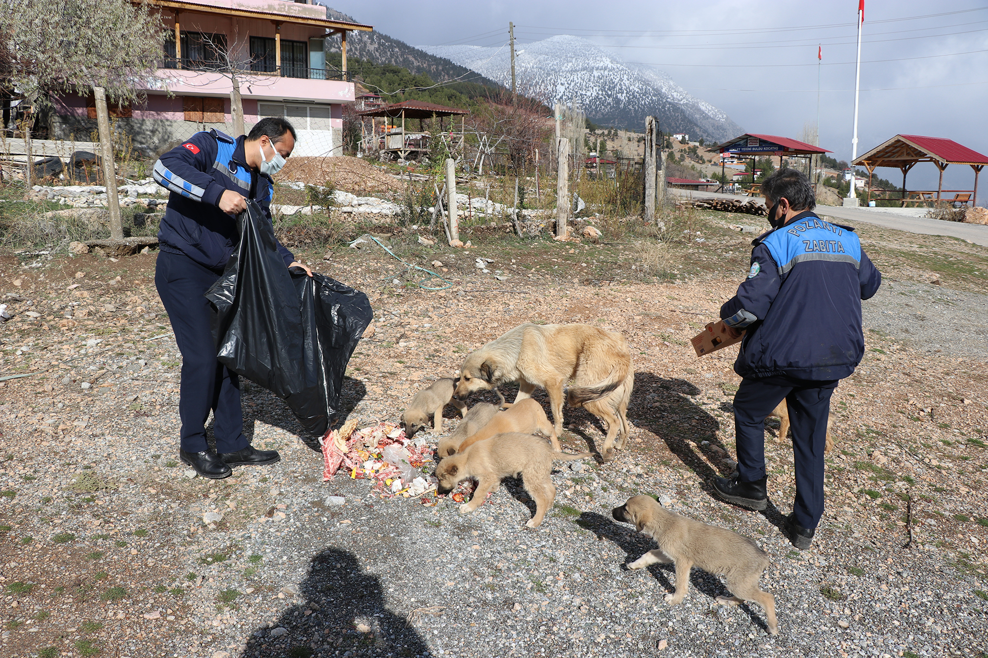Pozantı Belediyesi Sokak Hayvanlarını Unutmuyor