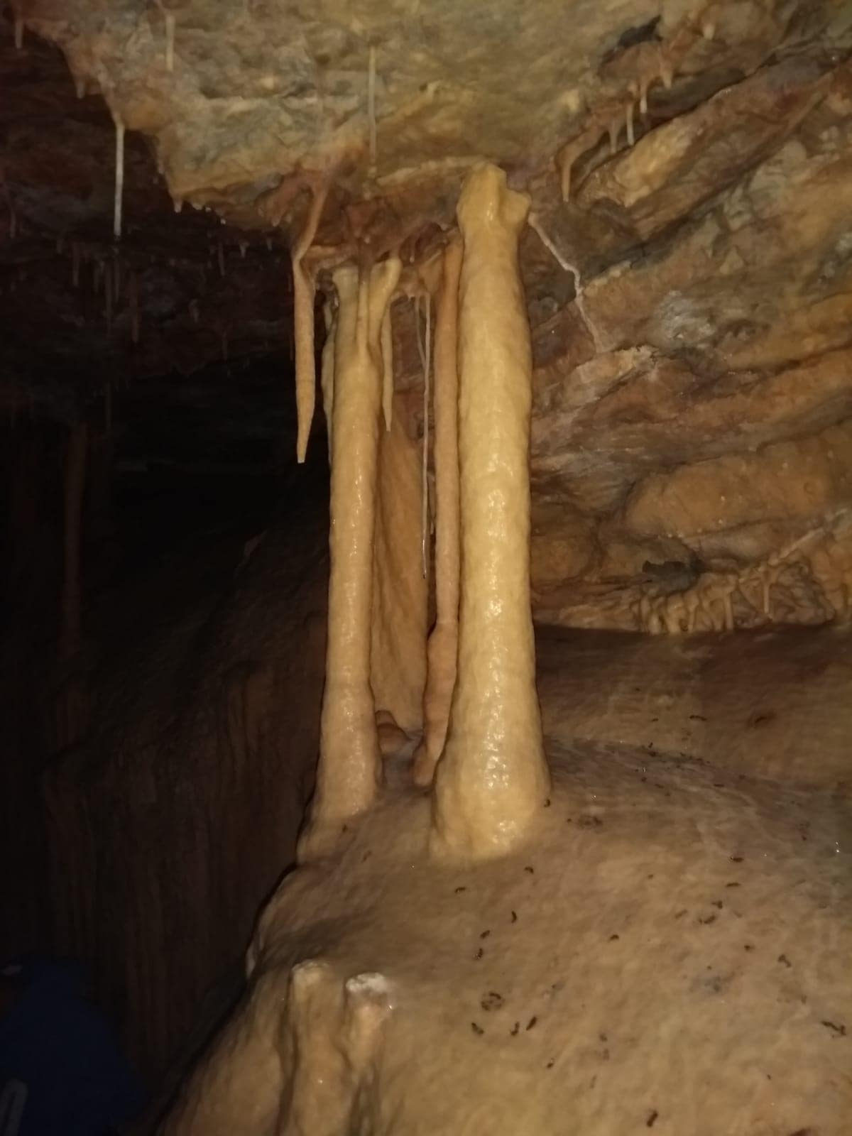 Pozantı’da İlginç Bir Mağara Keşfedildi