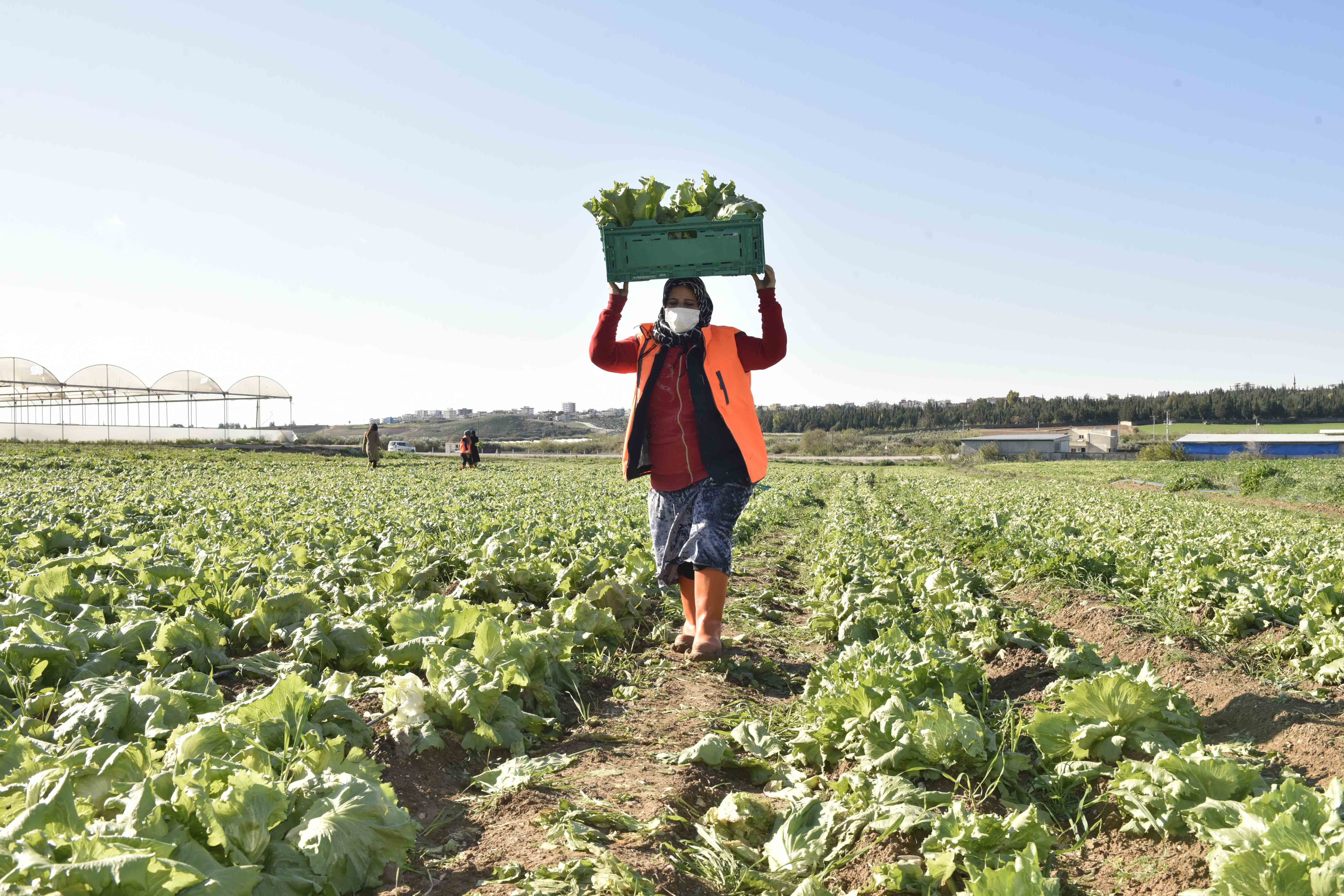Meryem Kadın Kooperatifi’nce üretilen ürünler Migros raflarında