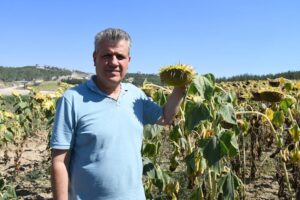 “Ayçiçeği fiyatı 15 liradan aşağı olmamalı”
