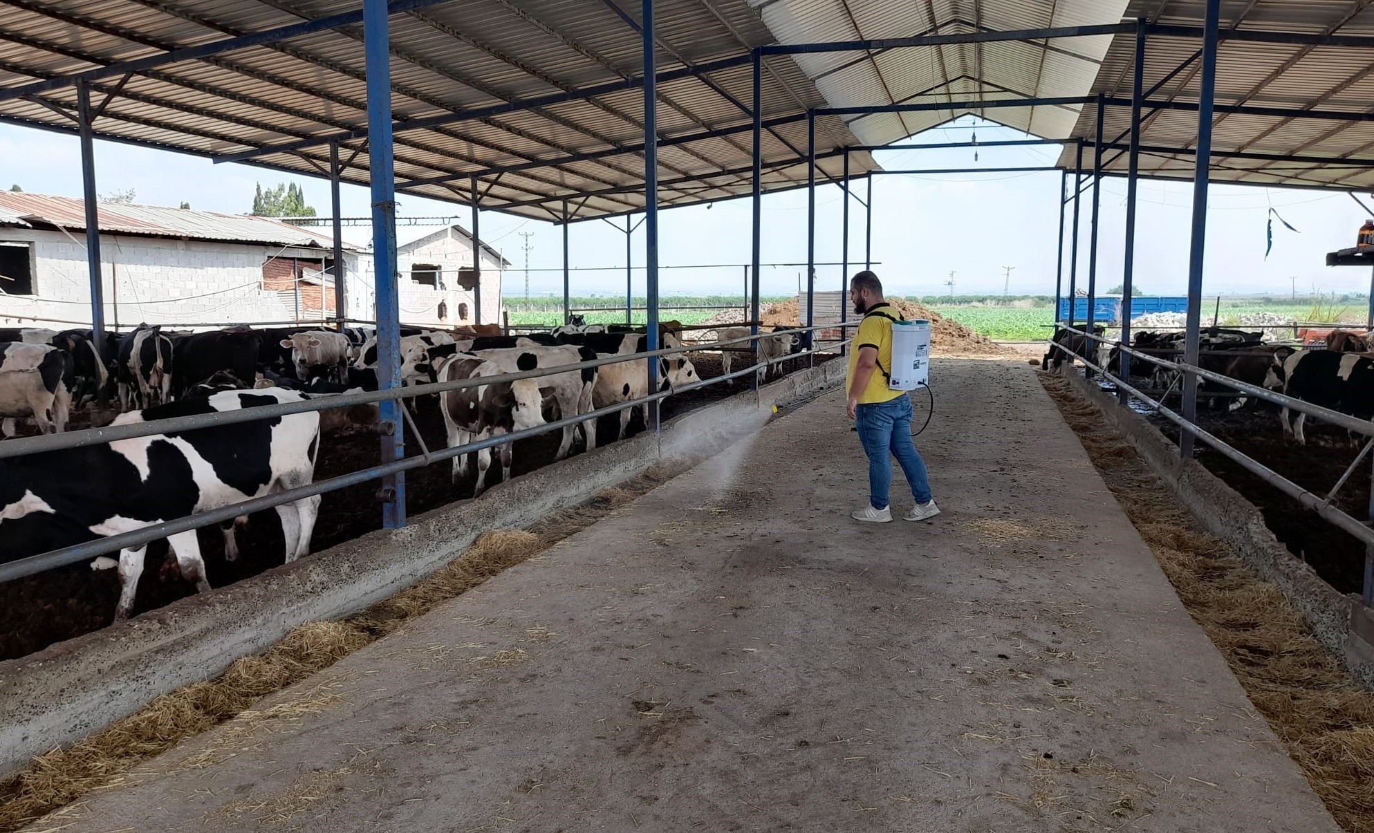 YÜREĞİR’DE VEKTÖRLE MÜCADELE ÇALIŞMASI