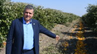 “Narenciye üretimi bitebilir”