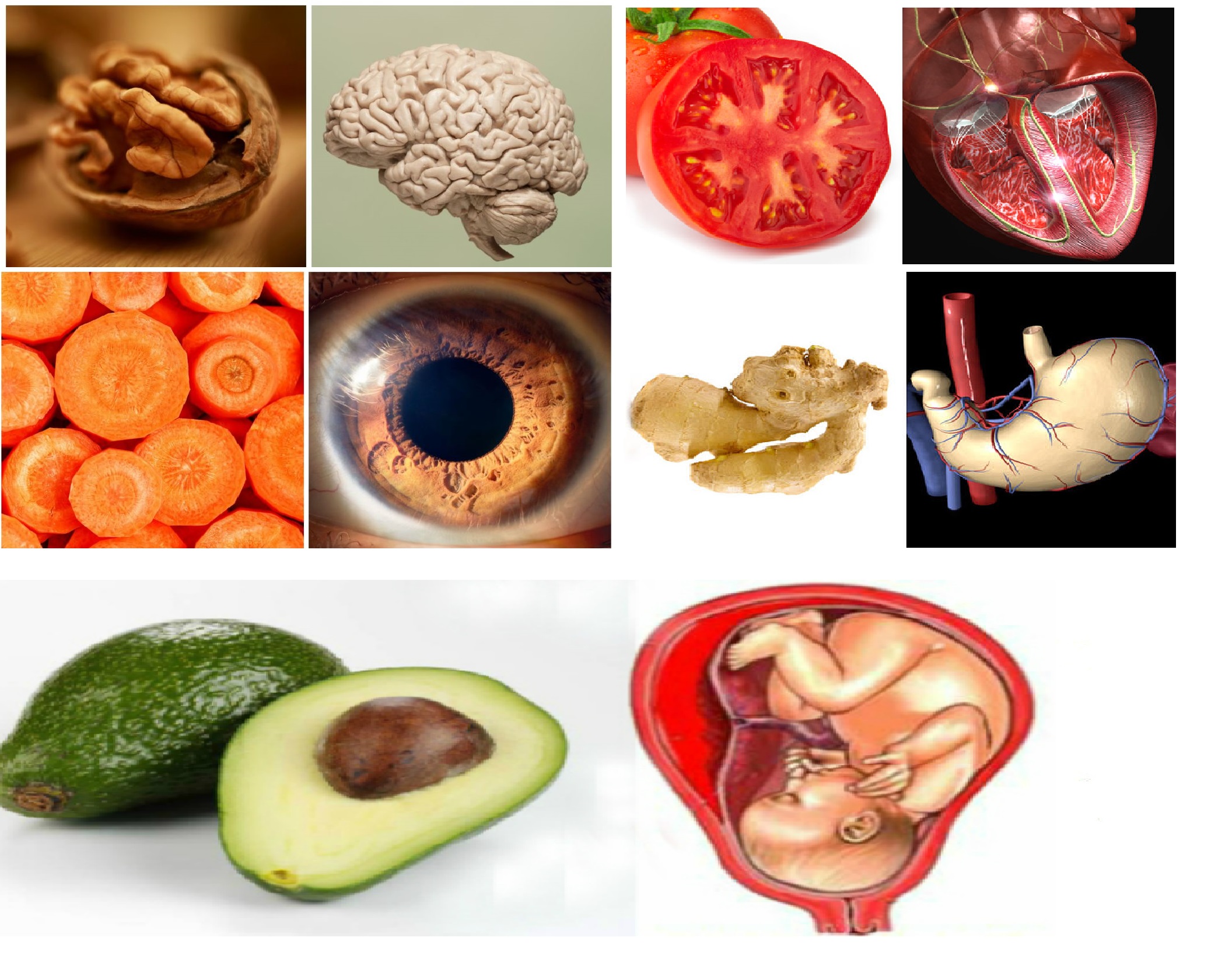 BENZEDİĞİ ORGANA İYİ GELEN BESİNLER