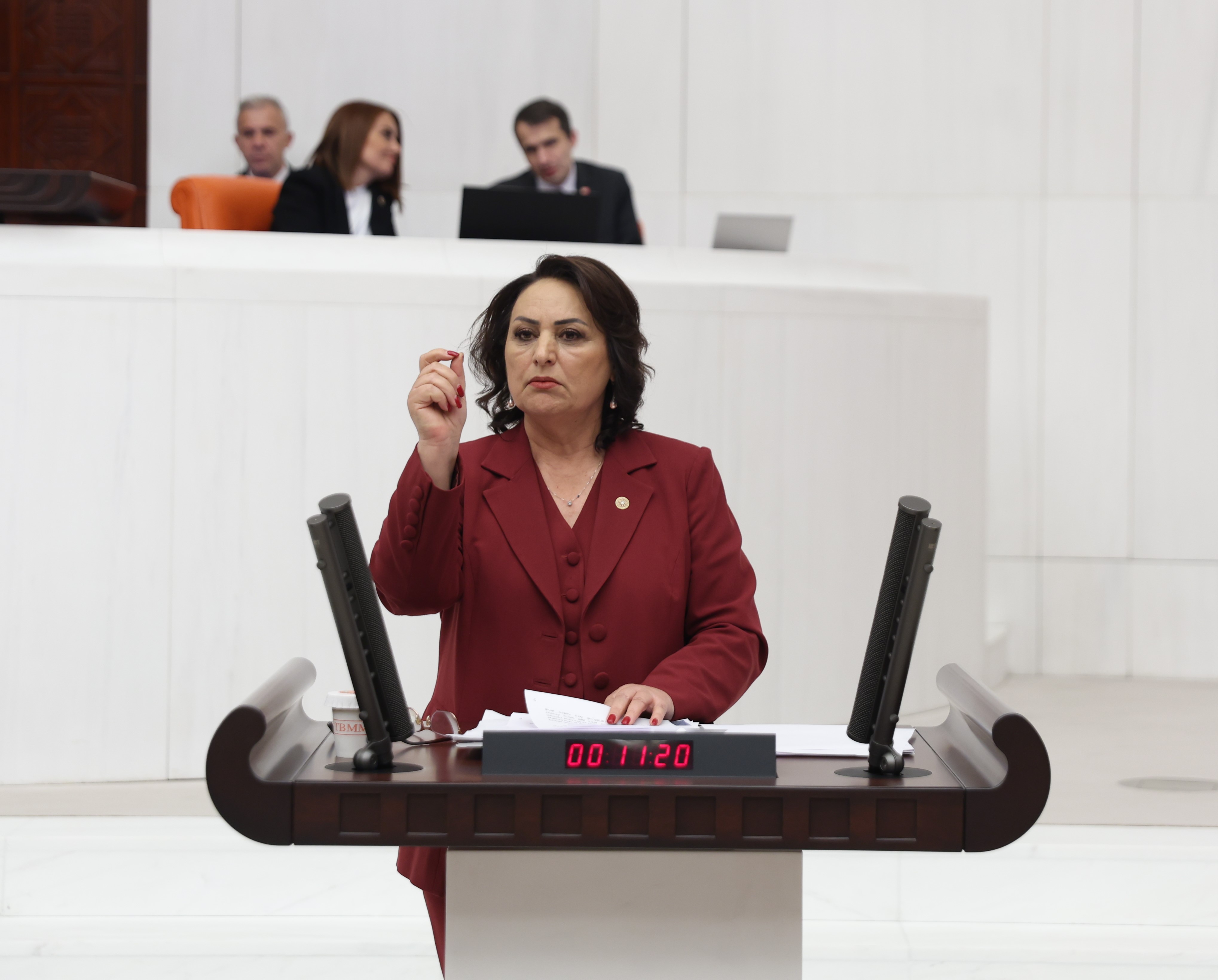 “Madenlerimiz peşkeş çekilecek”