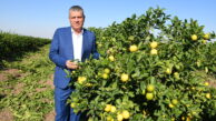 “TMMOB ve mücadelemiz engellenemez”