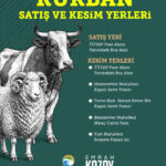 ÇUKUROVA’DA KURBAN SATIŞ VE KESİM YERLERİ BELİRLENDİ