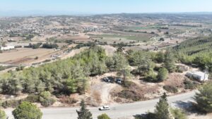 Seyhan Belediyesinden Sokak Hayvanları için Dev Adım: Doğal Yaşam Alanı Projesi Hayata Geçiyor!