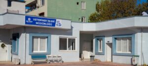 Seyhan Belediyesinden sokak hayvanlarının usulsüz toplandığı iddialarına yanıt