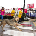 16. Uluslararası Adana Kurtuluş Yarı Maratonu koşuldu