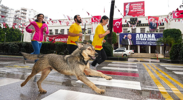 16. Uluslararası Adana Kurtuluş Yarı Maratonu koşuldu
