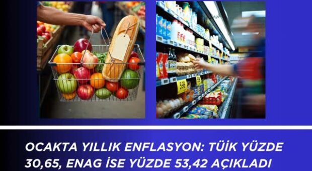 Tuik mi, Enag mı doğru söylüyor?