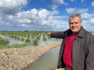 Ekili ve dikili tarım alanları ‘ihmal’ altında