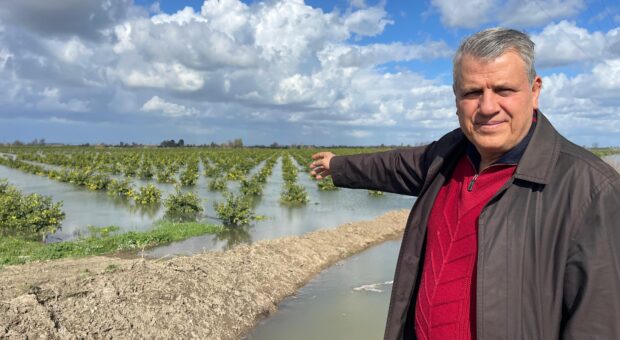 Ekili ve dikili tarım alanları ‘ihmal’ altında