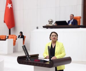 Seçilmiş iradeye müdahale tartışması meclis gündeminde…