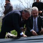 Pozantılı üreticiye 900 bin çilek fidesi daha dağıtıldı