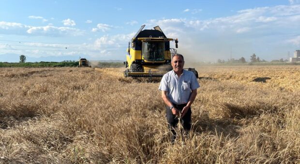 ÇUKUROVA’DA HASAT KAPIDA,ÇİFTÇİ TETİKTE: “BUĞDAYDA BELİRSİZLİK BİTSİN!”