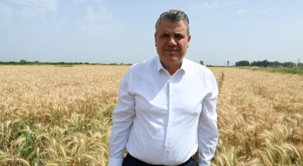 Ayhan Barut’tan buğdayda alım fiyatı çağrısı