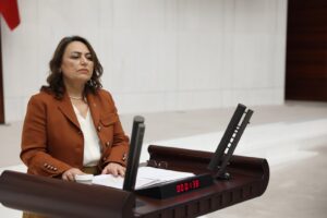 CHP’li Dr. Şevkin’den İçişleri Bakanına Zeydan Karalar tepkisi